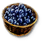 Blueberries
