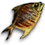 Dried fish