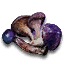 Magic mushrooms
