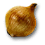 Onion