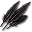 Feather