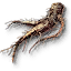 Allspice