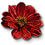Beggartick blossoms