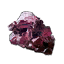 Bryonia