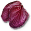 Ginatia petals