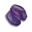 Hellebore petals