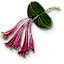 Honeysuckle