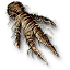 Mandrake root
