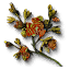 Moleyarrow