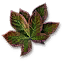 Nostrix