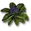 Pringrape