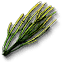 Ranogrin