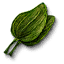 Ribleaf