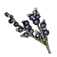 Wolfsbane