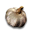 Anti-vampire garlic