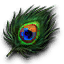 Peacock feather