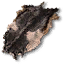 Old goat hide