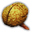 Drowner brain