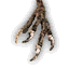 Harpy talons