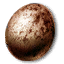 Griffin's egg
