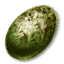 Wyvern egg