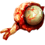 Erynia eye