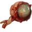 Nekker eye