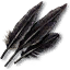 Griffin feathers