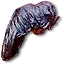 Nekker warrior's liver