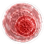 Greater red mutagen
