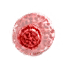 Protofleder mutagen