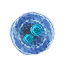 Blue mutagen