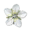 sq307_flower