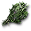 Bundle of burdock