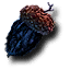 Magic acorn