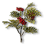 Rowan branch
