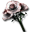 Bouquet of white roses