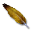 Feather from Vivienne