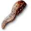 Albino bruxa tongue
