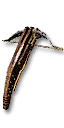 Bow
