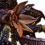 Arachas