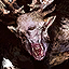 Fiend