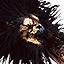 Griffin