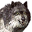 Alpha Wolf